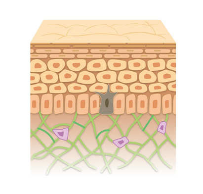 hautaerzte_wuerzburg_klassische_dermatologie